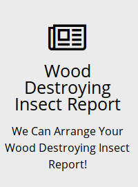 wood destroying insect report